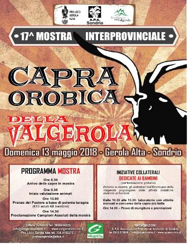 Mostra Regionale Della Capra Orobica - Gerola Alta