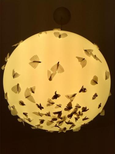 Progetto Chiaveumbra - 