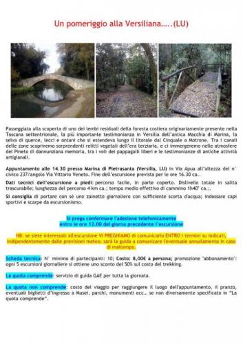 Un Pomeriggio Alla Versiliana - Pietrasanta