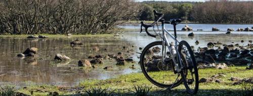 Civico Museo Del Cavallino Della Giara - Genoni