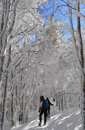 Neve E Natura - Santa Sofia
