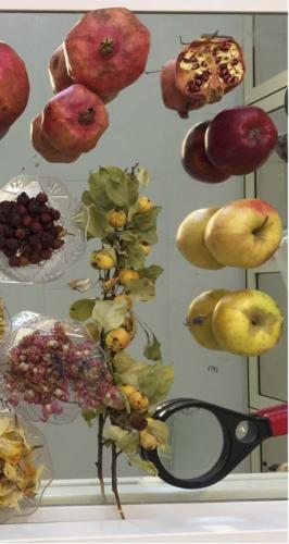 Asilo Nido Arcobaleno - Castelnovo Ne' Monti