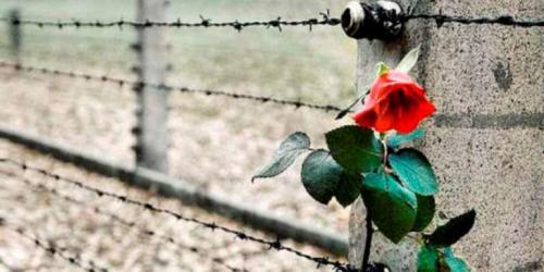 Il Mese Della Memoria - Ortona