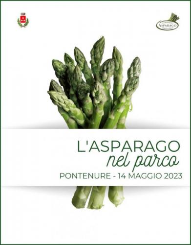 La Mostra Mercato Asparago Nel Parco - Pontenure