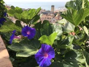 M'illumino Di Meno - Salerno