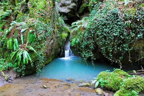 Parco Marturanum - Barbarano Romano