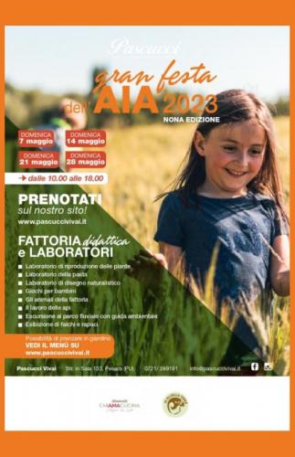 Gran Festa Dell'aia - Pesaro