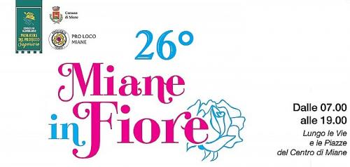Miane In Fiore - Miane