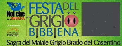 Festa Del Grigio - Bibbiena