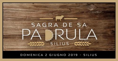 Sagra De Sa Pàdrula - Silius