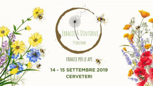 Erbacce E Dintorni - Bracciano