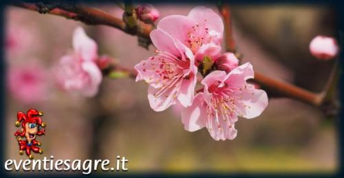 Fiera Primaverile - Busto Garolfo