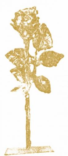 Premio Simpatia - Roma