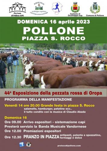 Esposizione Della  Pezzata Rossa Di Oropa  - Pollone