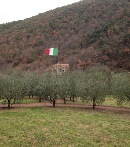 Bosco Di S. Francesco - Assisi