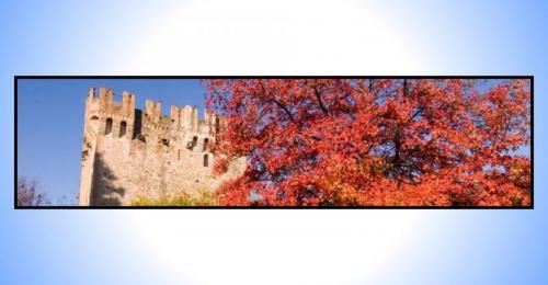 Festa Patronale Di San Quirico - Villarbasse