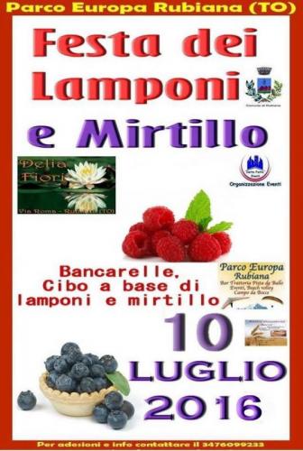 Festa Dei Lamponi E Mirtillo - Rubiana