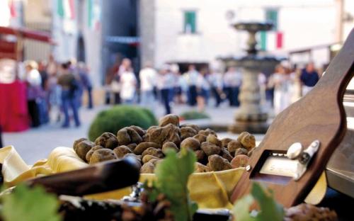 Festival Alogastronomia - Apecchio