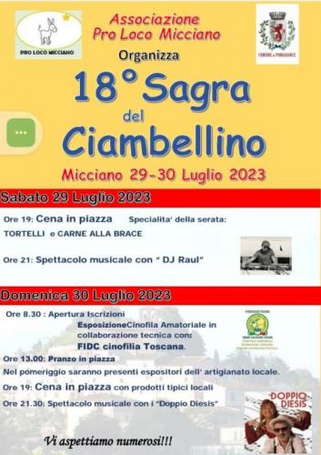 Sagra Del Ciambellino Miccianese - Pomarance