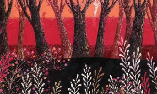 Mostra Internazionale Di Illustrazione Per L'infanzia - Rieti