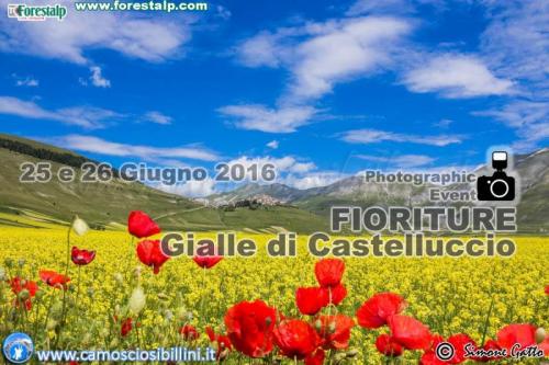 Fioritura Dei Piani Di Castelluccio - Norcia