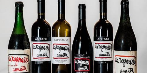 Taste Of Excellence - Roma