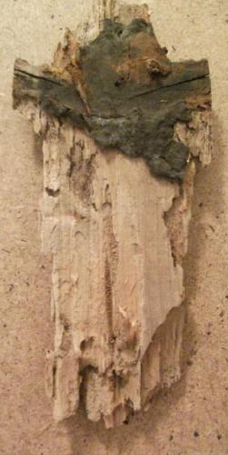 Personale Di Giovanna Saporito - Salerno