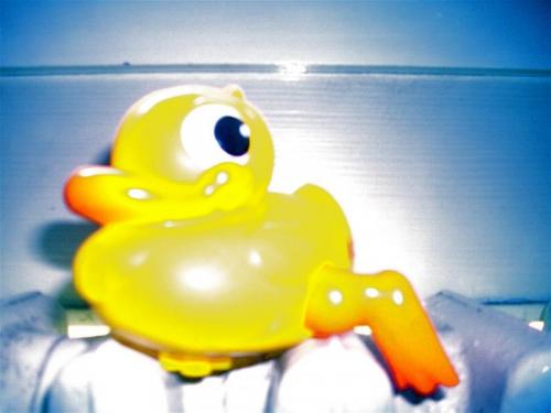 Isolino Sunset Festival - Biandronno