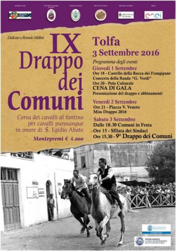 Corsa Di Cavalli Purosangue - Tolfa