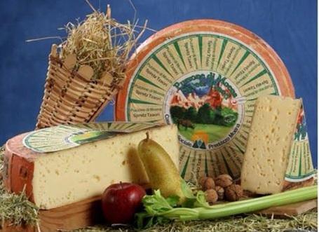 Festival Del Puzzone Dop - Moena