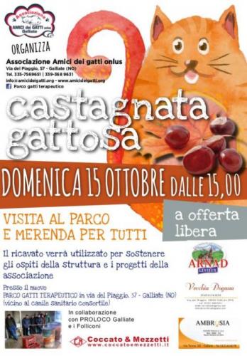 Castagnata Gattosa - Galliate