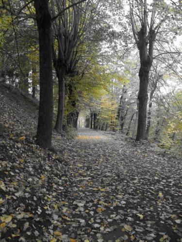 Vivere Il Parco A Corte Dei Roero - Monticello D'alba