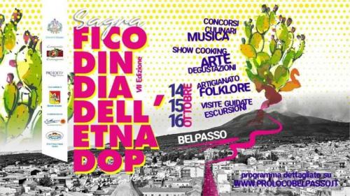 Sagra Del Ficodindia  - Belpasso