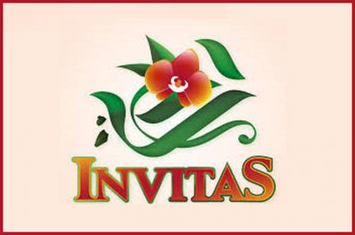 Invitas - Olbia