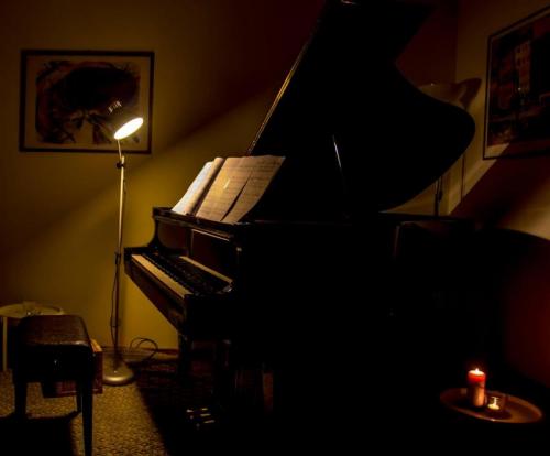 Salotto Musicale Del Fvg - Fagagna