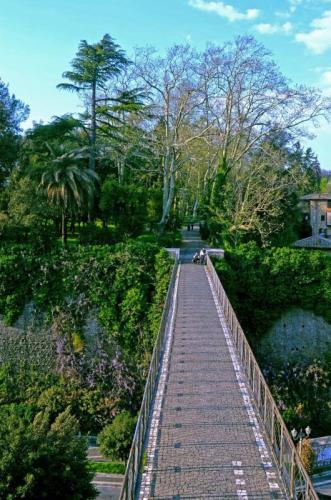 Festival Delle Birre Artigianali - Genazzano