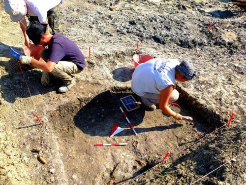 Collettiva Alla Galleria Leonardi Da Vinci - Cesenatico
