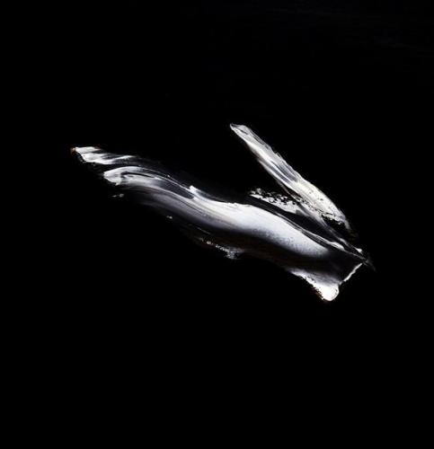 Personale Di Lorenzo Puglisi - Bologna