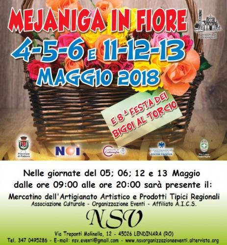 Mejaniga In Fiore - Cadoneghe
