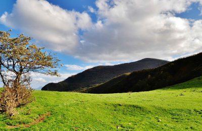 Escursione Al Monte Cucco - Sigillo