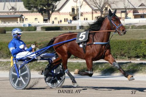 Eventi All'ippodromo Arcoveggio Di Bologna - Bologna