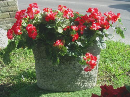 Il Mercatino Di Segrate - Segrate