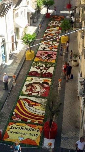 Scuoleinfiore - Noto