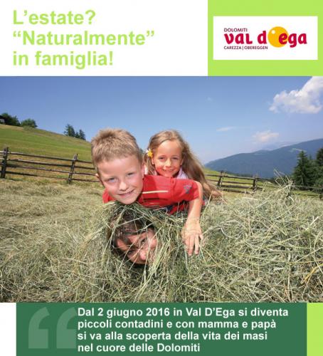 Estate In Val D'ega - Nova Ponente