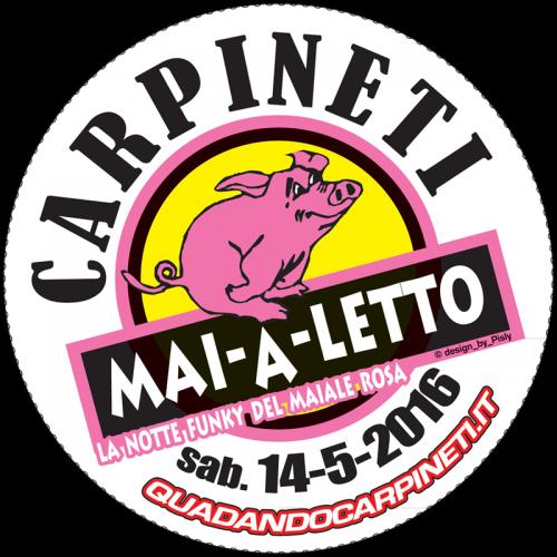 Carpineti Mai A Letto - Carpineti