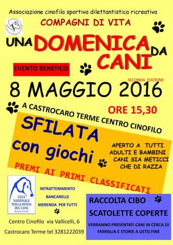 Una Domenica Da Cani - Castrocaro Terme E Terra Del Sole