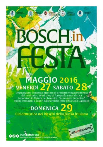 Boschi In Festa - Carlino