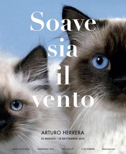 Personale Di Arturo Herrera - Torino