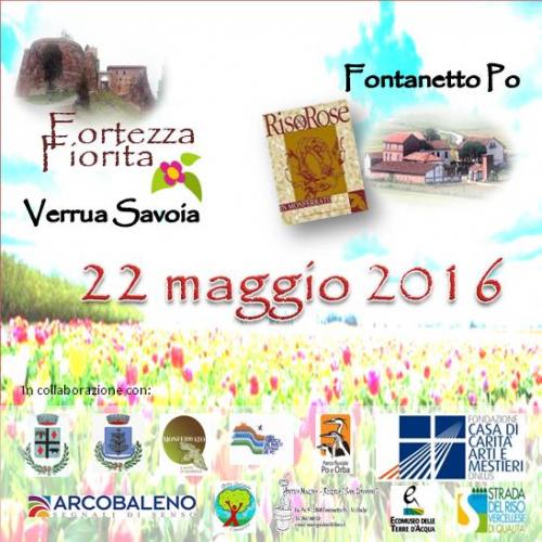 Domenica Fiorita - Fontanetto Po