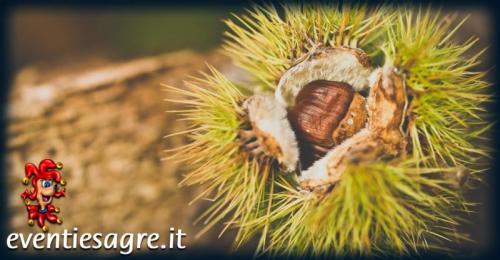 Castagnata - Orco Feglino